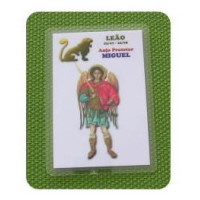 {
  "text": "zodiac card – leo/michael"
}