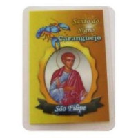 {
  "text": "zodiac card – crab/saint filipe"
}