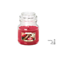 {
  "product_name": "Cinnamon Scented Candle"
}