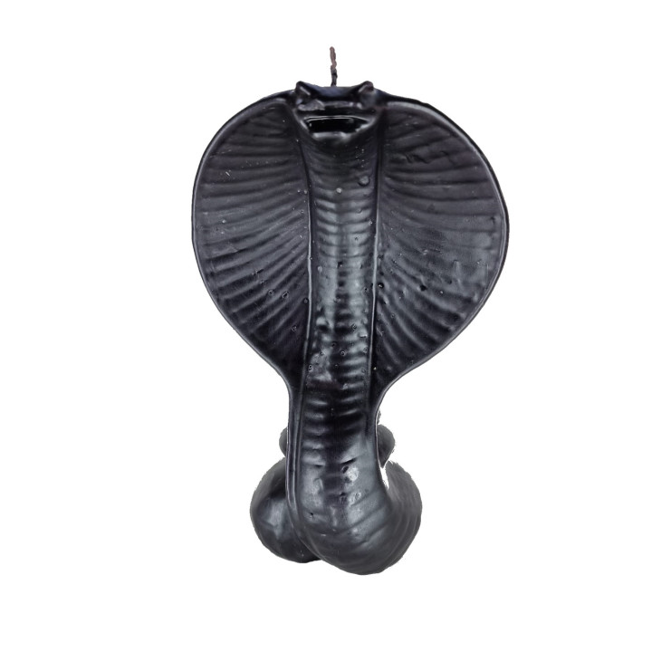 {
  "product_name": "Vibora"
}