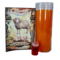 {
  "text": "small ritual – gentle ram"
}