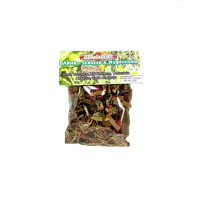 Ervas sedução e atração