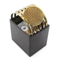 {
  "name": "Flower of Life"
}