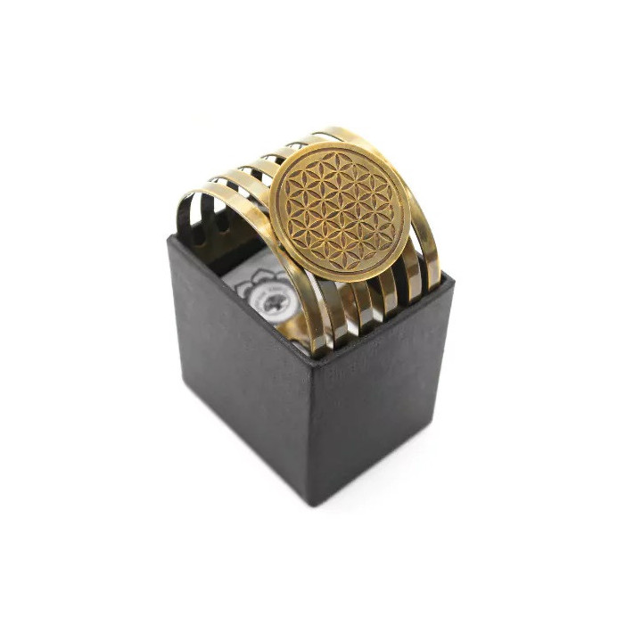 {
  "name": "Flower of Life"
}