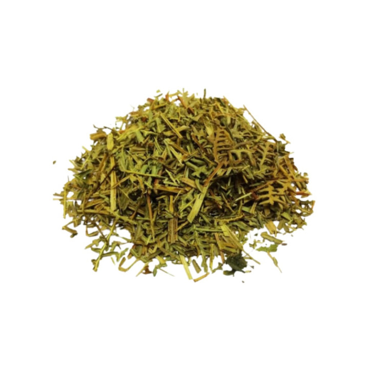 {
  "name": "Samambaia Bath"
}