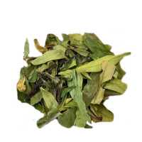 {
  "name": "Demand Breaker"
}