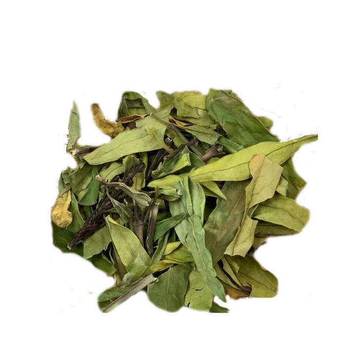 {
  "name": "Demand Breaker"
}