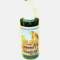 {
  "text": "vaporizer / spray of saint jose – work"
}