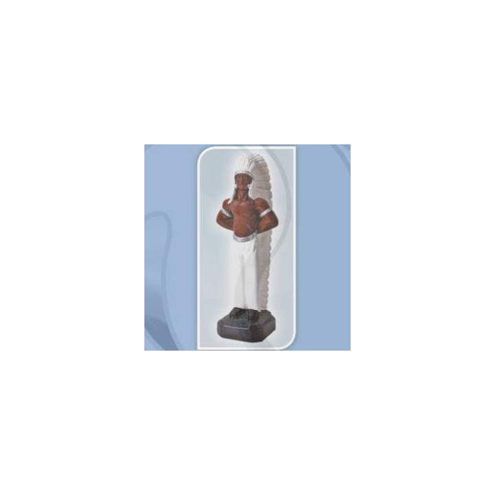 {
  "name": "cacique pena branca – 20cm"
}