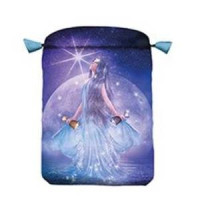 {
  "text": "tarot case – thelema"
}