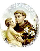 Immagini e pezzi decorativi